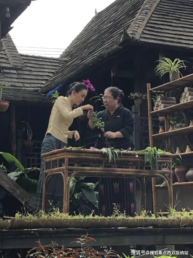 不要等丢失的时候才知道珍惜？游戏画面