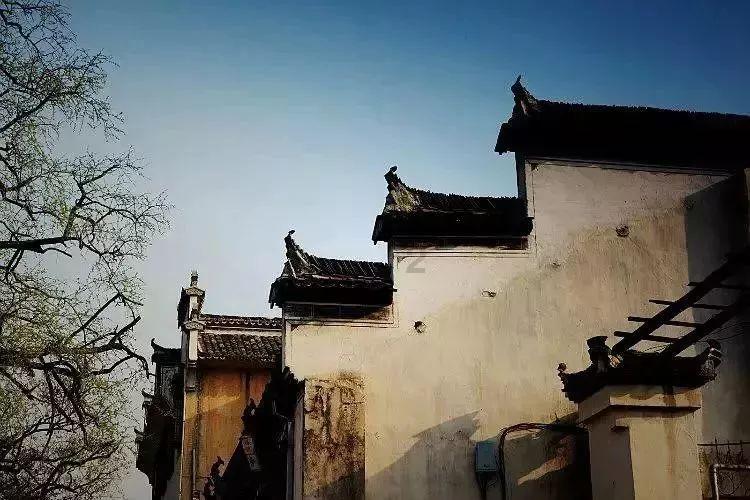 逃出神奇蘑菇林