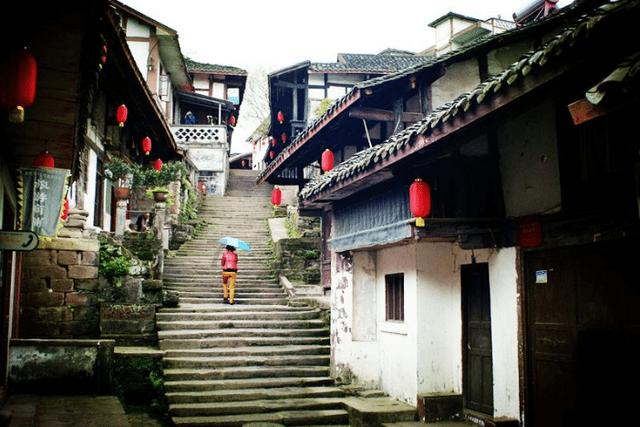 新华全媒+|“中国最美小鸟”在厦门筑巢安家
